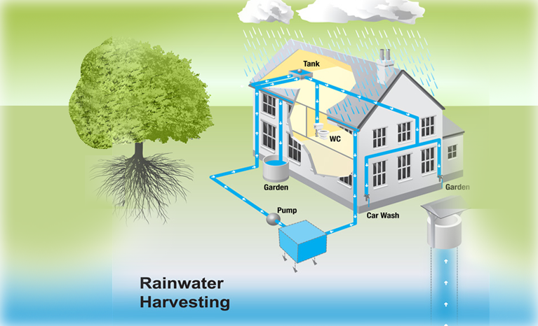 Rain Water Harvesting